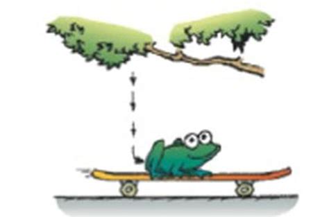 freddy frog skateboard quiz